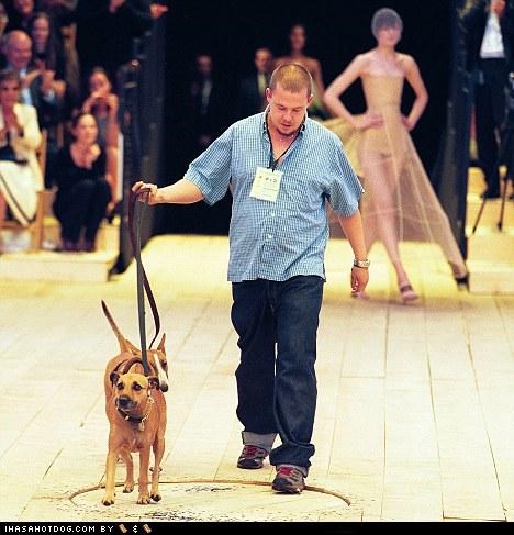 Fashion Designer Alexander McQueen Leaves $50,000 to Dogs, Thousands More to Animal Charities