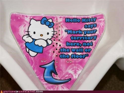 I Don't Want to Pee on the Kitty!