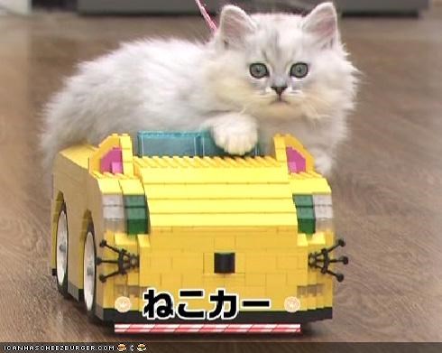 Awesome Kitteh Toys Made From Legos