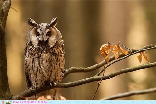 CANNOT. UNSQUEE.