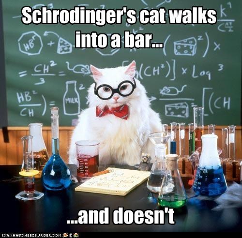 MemeCats: Chemistry Cat Strikes Again