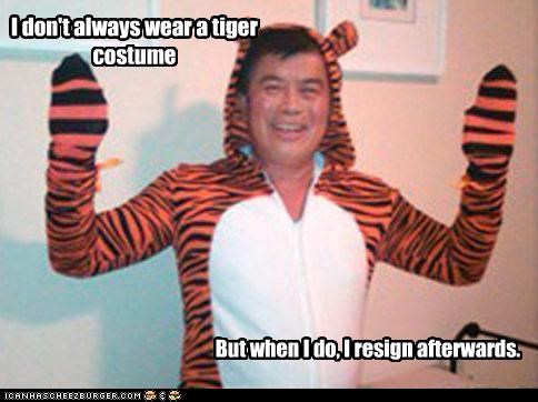 I don't always wear a tiger costume