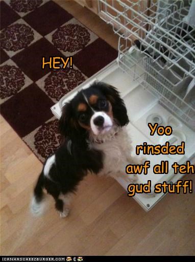 HEY!