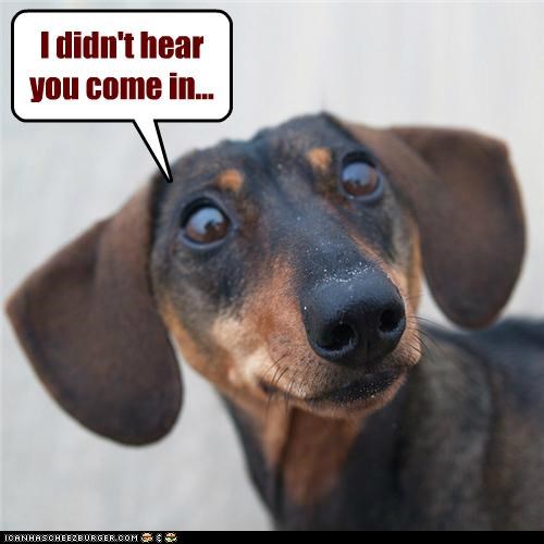 I didn't hear you come in...