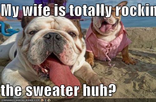My wife is totally rockin  the sweater huh?