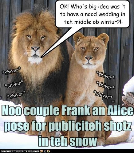 Noo couple Frank an Alice pose for publiciteh shotz in teh snow