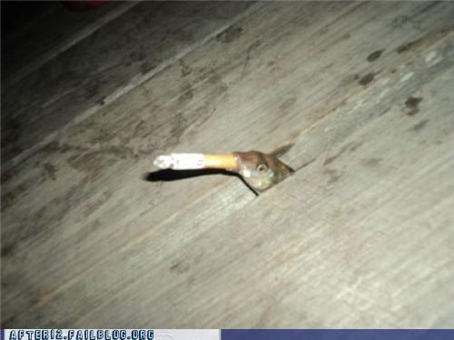 Crunk Critters: Got A Light?