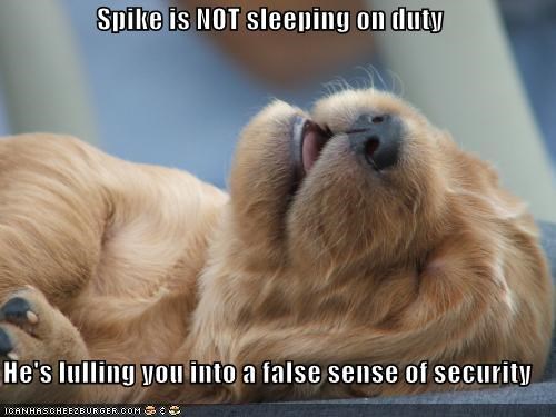 Spike