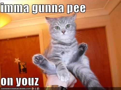 imma gunna pee  on youz