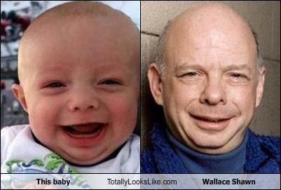 TLL Classics: This Baby Totally Looks Like Wallace Shawn