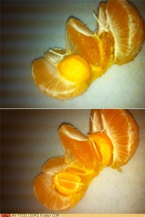 Orange in Orange 