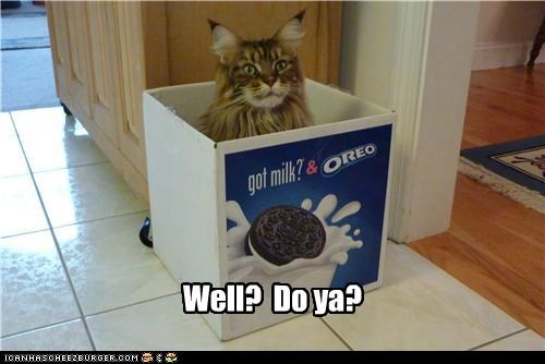 Well?