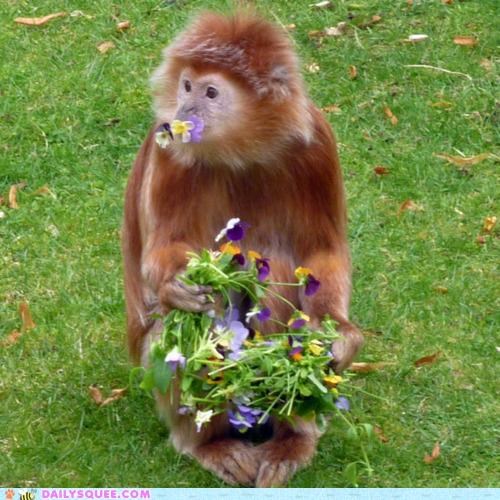 Acting Like Animals: I Brought You Some Flowers...