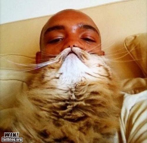 Cat Beard WIN