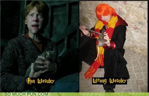 Is There Such a Thing as a Right Weasley?