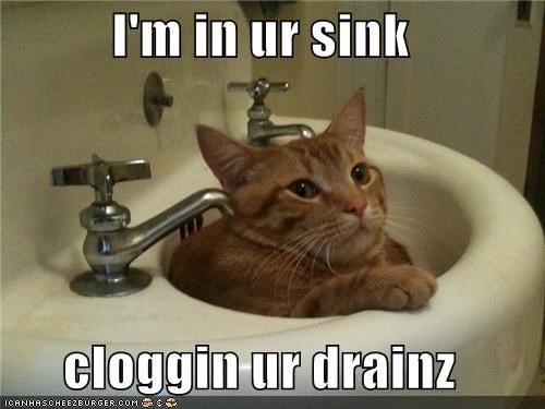I'm in ur sink  cloggin ur drainz