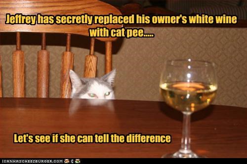 Jeffrey has secretly replaced his owner's white wine with cat pee.....