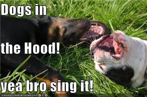 Dogs in the Hood! yea bro sing it!