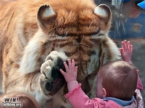 High Five WIN