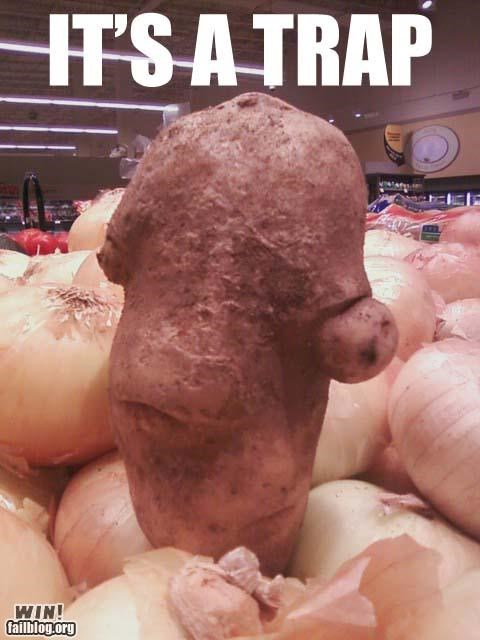 Tuber WIN
