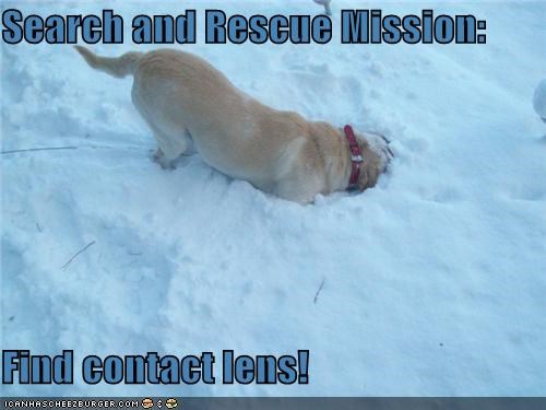 Search and Rescue Mission:  Find contact lens!