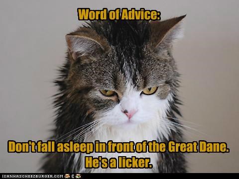 He also snores.