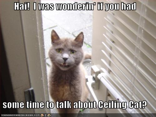 Hai!  I was wonderin' if you had  some time to talk about Ceiling Cat?