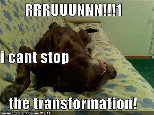 RRRUUUNNN!!!1