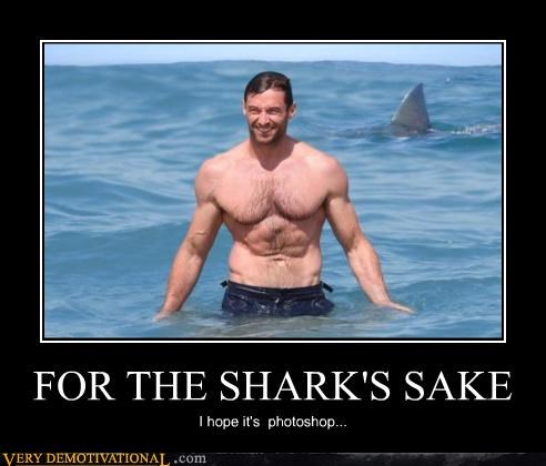 FOR THE SHARK'S SAKE