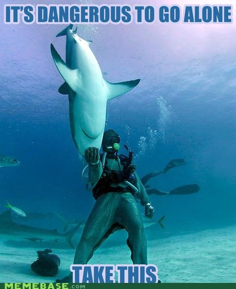 We've Got Your Shark Week Right Here