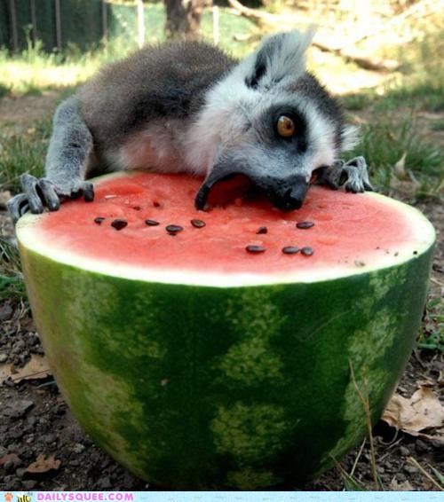 Happy National Watermelon Day!