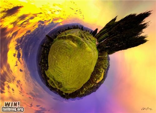 Fish-Eye Lens WIN