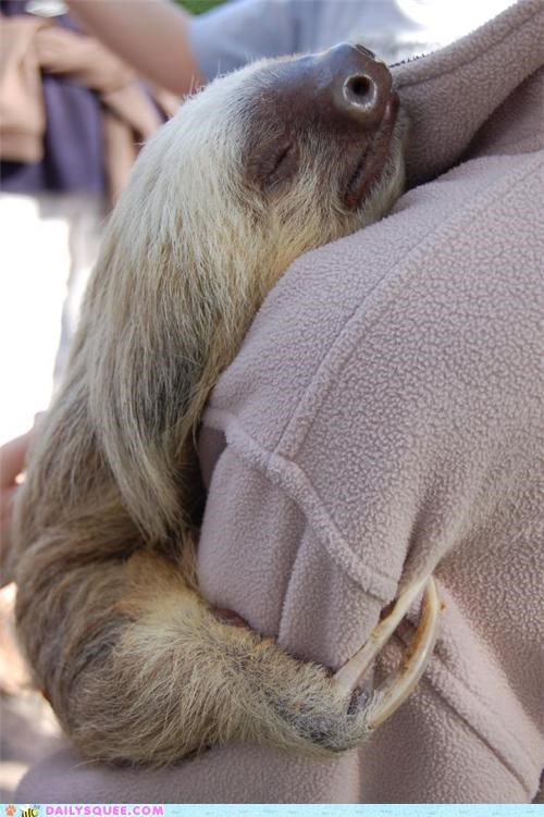Holding On for D'awwww Life
