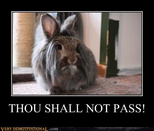 THOU SHALL NOT PASS!