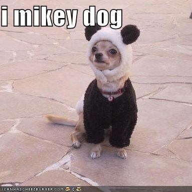 i mikey dog
