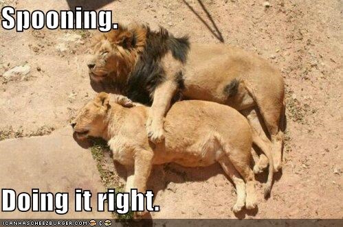 Spooning.  Doing it right.