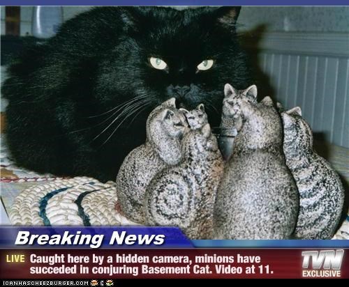 Breaking News - Caught here by a hidden camera, minions have succeded in conjuring Basement Cat. Video at 11.