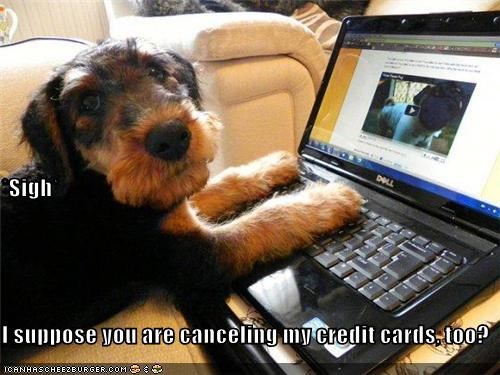 *Sigh*  I suppose you are canceling my credit cards, too?