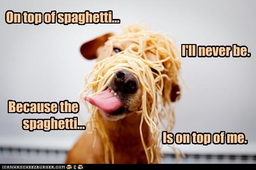 On top of spaghetti...