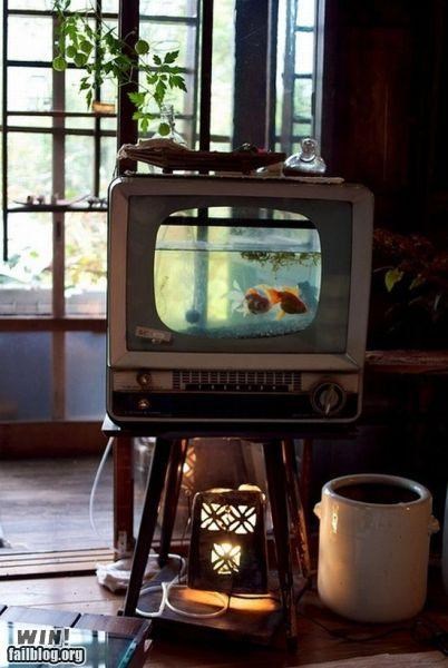 Aquarium WIN