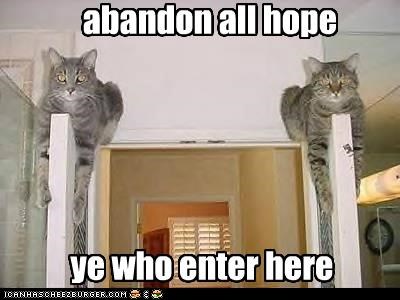 Dante kittehs
