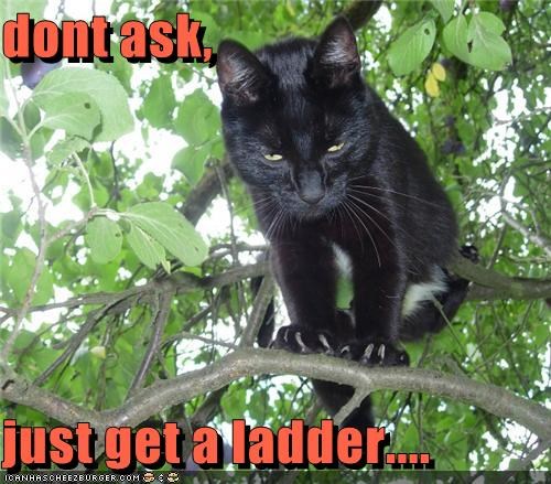 dont ask,  just get a ladder....