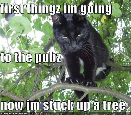 first thingz im going to the pubz now im stuck up a tree