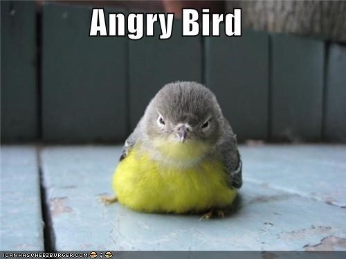 Angry Bird