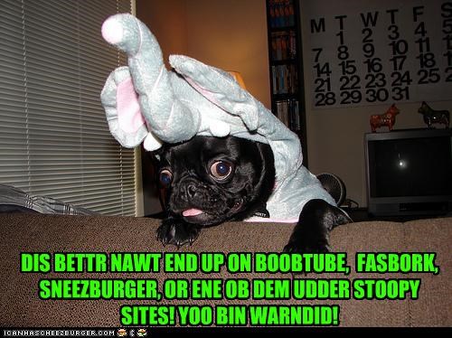 YOO BIN WARNDID!