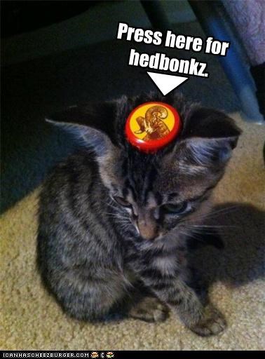 Press here for hedbonkz.