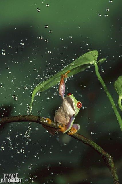 Mother Nature FTW: Singin' in the Rain