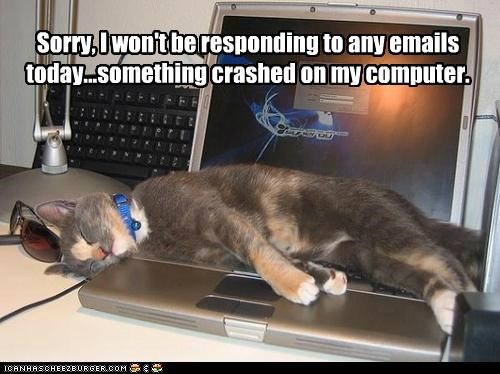 Sorry,