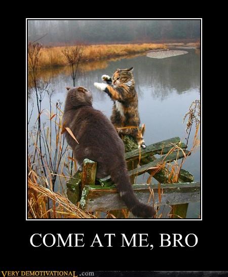 COME AT ME, BRO