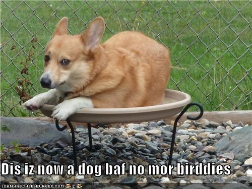 Dis iz now